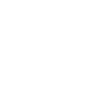 ハンディPOSシステム